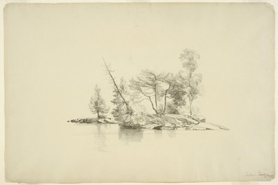 Island with Small Trees, Lake George, New York, 1862 by Asher Brown Durand